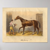  paardenfoto 1873 Thormanby
