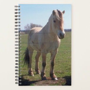 Paardenfoto Equine Norwegian Fjord Planner