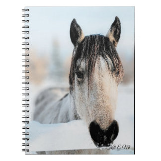 Paardenfoto-Notitieboek Notitieboek