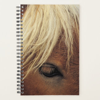 Paardenfoto Paardenpaard White Mane Planner