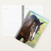 Paardenfoto  pasta planner (Display)