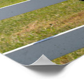 Paardenfoto Poster (Hoek)