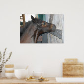 Paardenfoto Poster (Keuken)