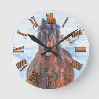 Paardenfoto tijdens de winterperiode "Jaar van de Ronde Klok