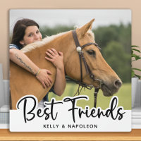 Paardenfoto White Best Friends