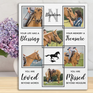 Paardenfotocollage - Herinnering aan huisdierverli Fotoplaat