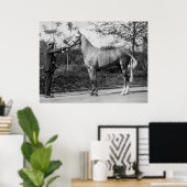  paardenfotografie poster (Thuiskantoor)