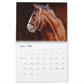 Paardenfotokalender 2026 Mooie muurkalender Kalender (Mar 2026)