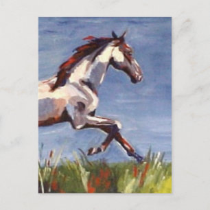 Paardengalopolie Briefkaart