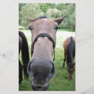 Paardengezicht Briefpapier