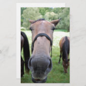 Paardengezicht Briefpapier (Voorkant / Achterkant)