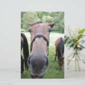 Paardengezicht Briefpapier (Staand voorkant)