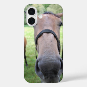 Paardengezicht iPhone 16 Hoesje