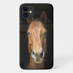 Paardengezicht Foto Afbeelding iPhone 11 Hoesje
