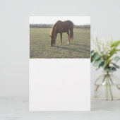 Paardengrazing Briefpapier (Staand voorkant)