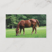 Paardengrazing in het grasland visitekaartje (Achterkant)