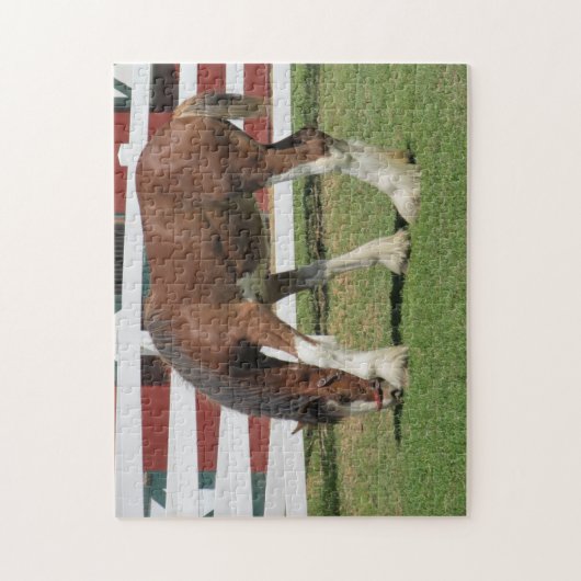 Paardengrazing Legpuzzel (Verticaal)