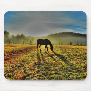 Paardengrazing op zonsopgang bij Misty Field Foto Muismat