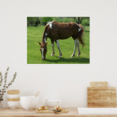 Paardengrazing Poster (Keuken)