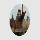 Paardengroei Ornament (voorkant)