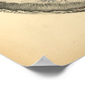 Paardenharsborstanatomie 1908 afdrukken poster (Hoek)