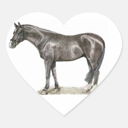 Paardenhart Sticker (Voorkant)