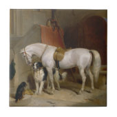 Paardenhond Favorieten schilderkunst Landseer Prop Tegeltje (Voorkant)