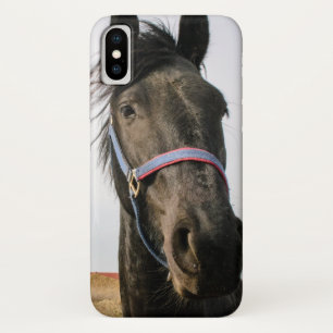 Paardenhoofd 007 iPhone x hoesje