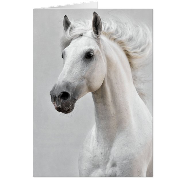 Paardenkaart (Voorkant)