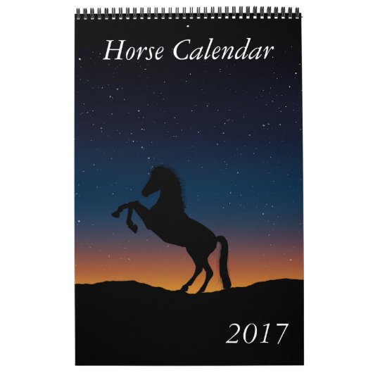 Paardenkalender 2017 kalender (Hoes)