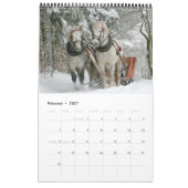 Paardenkalender 2017 kalender (Feb 2027)
