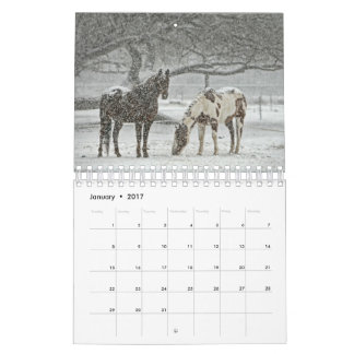Paardenkalender 2017 kalender