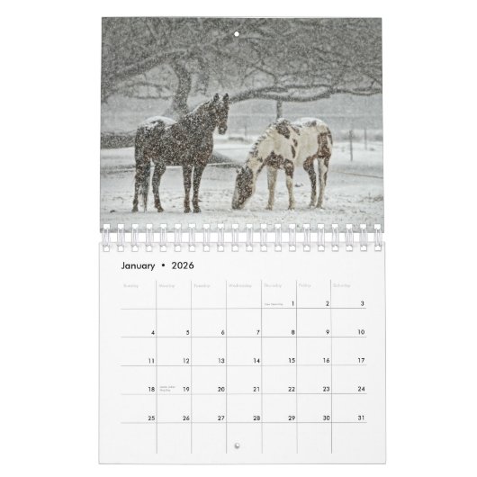 Paardenkalender 2017 kalender (Jan 2026)