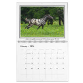 Paardenkalender met bijbelversies (12 maanden) kalender (Feb 2026)