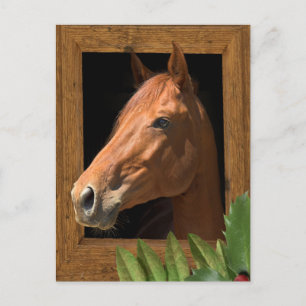 Paardenkerst Feestdagenkaart