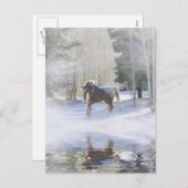 PaardenkerstBriefkaarten Feestdagenkaart (Voorkant / Achterkant)