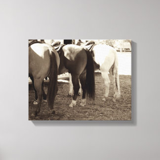 Paardenknoppen Canvas Foto Afdruk