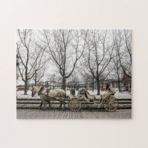 Paardenkoets Montreal. Legpuzzel