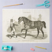 Paardenkoetsier Ephemera Decoupage Frans Tissuepapier (Craft)