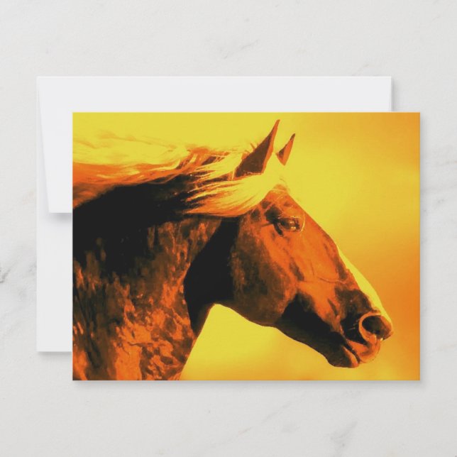 Paardenkop (Voorkant)