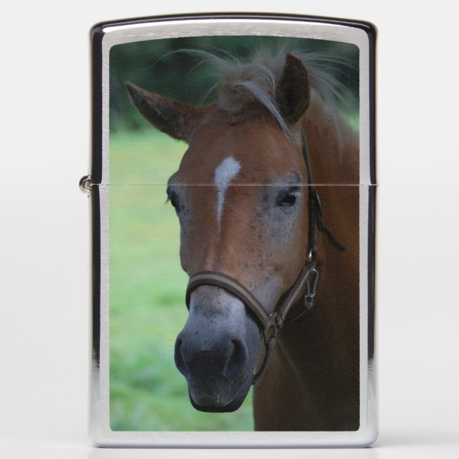 Paardenkop (Voorkant)