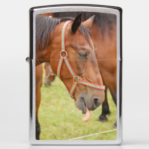 Paardenkop 002