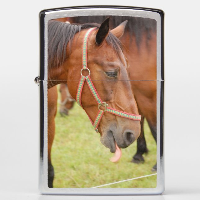 Paardenkop 002 (Voorkant)