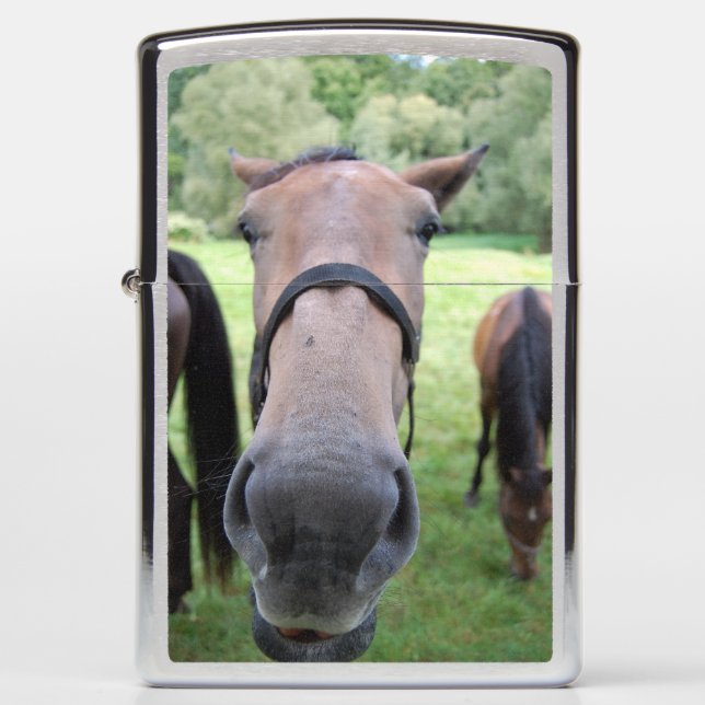 Paardenkop 004 (Voorkant)