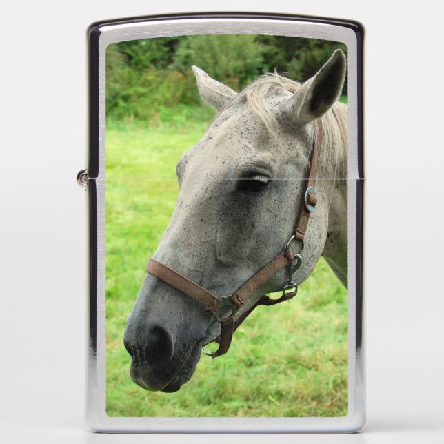 Paardenkop 005 (Voorkant)