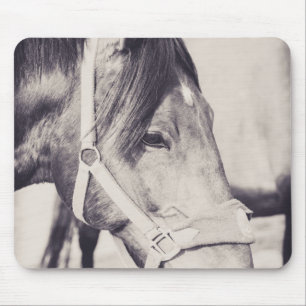Paardenkop 009 muismat