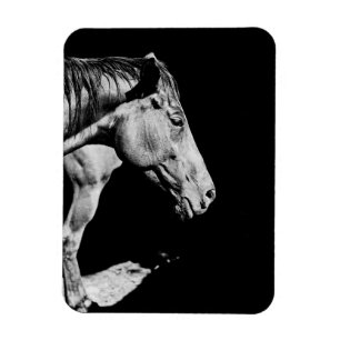 paardenkop been magneet