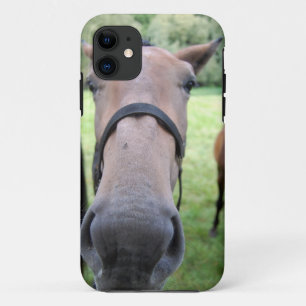 Paardenkop iPhone 11 Hoesje