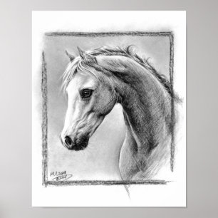 Paardenkop Kool trekken Equine art Poster