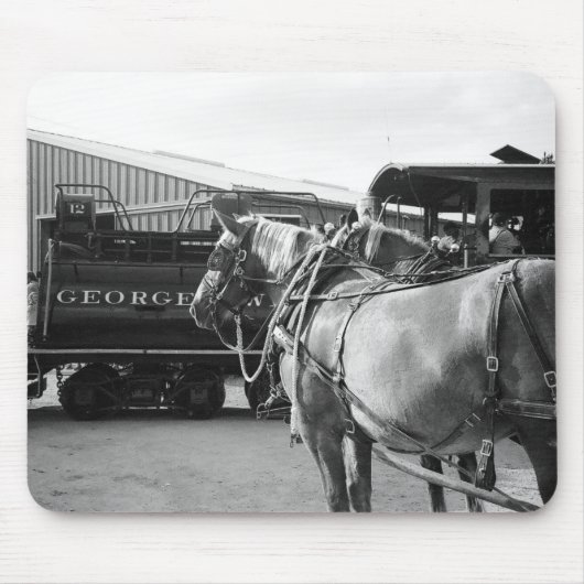 Paardenkracht en -stuurkracht muismat (Voorkant)